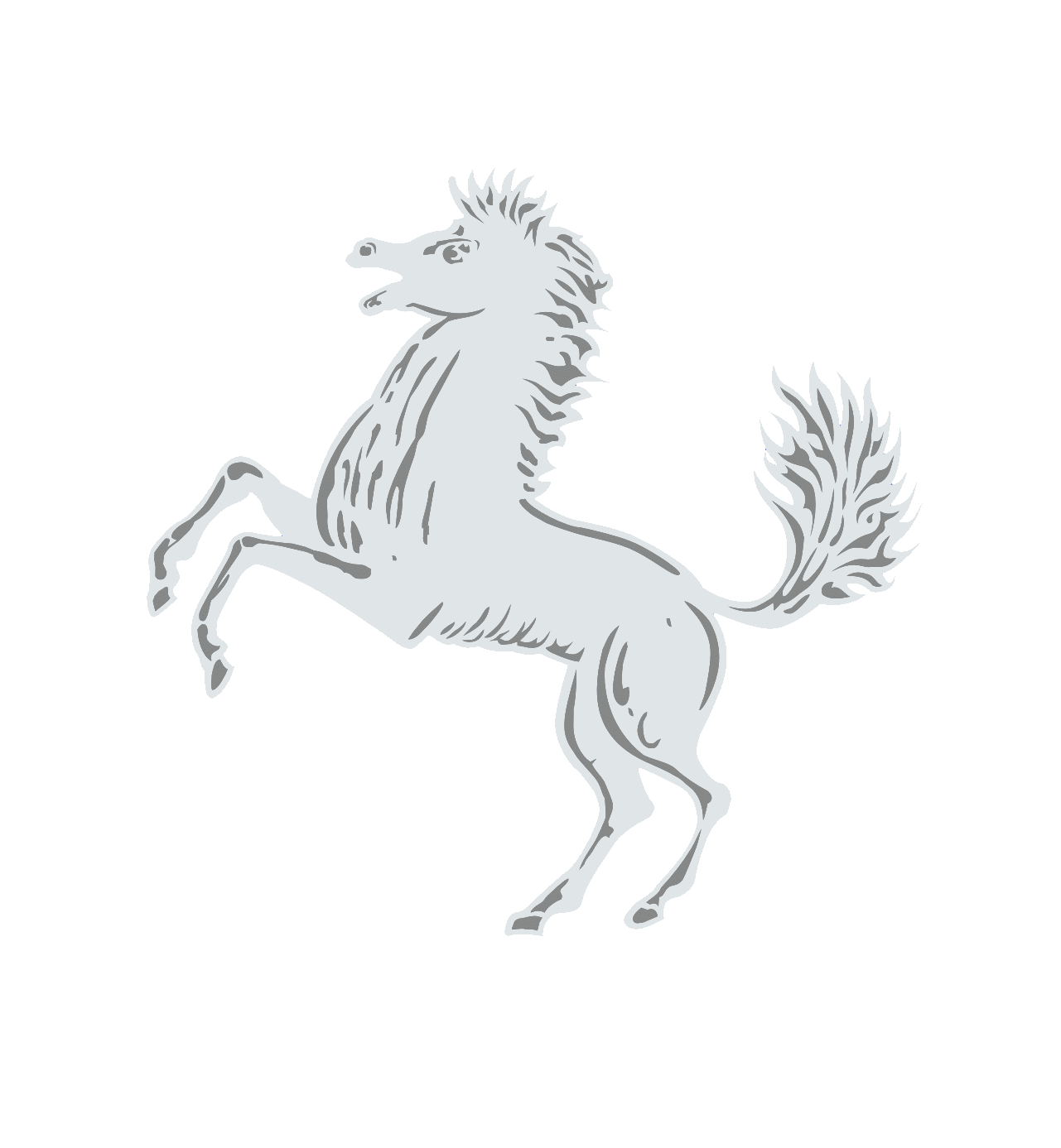 Città Metropolitana di Napoli